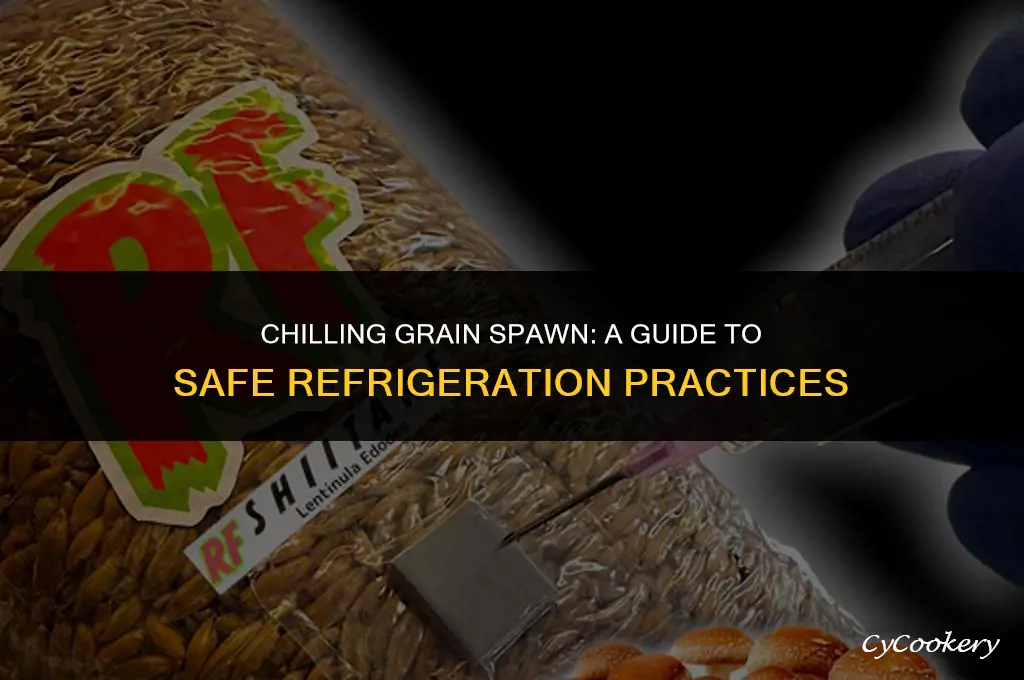 is it okay to put grain spawn in refrigerator