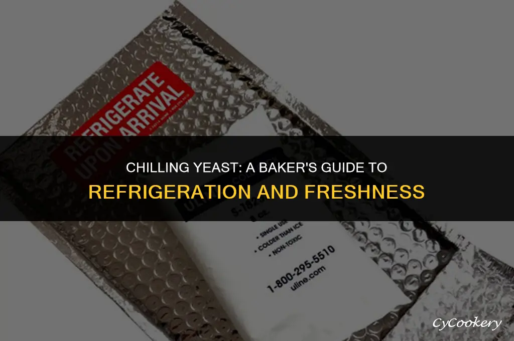 is it okay to put yeast in the refrigerator