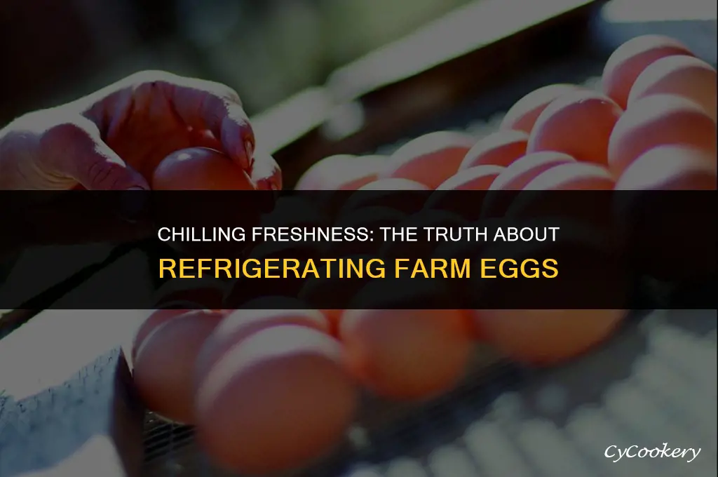 is it okay to refrigerate farm fresh eggs