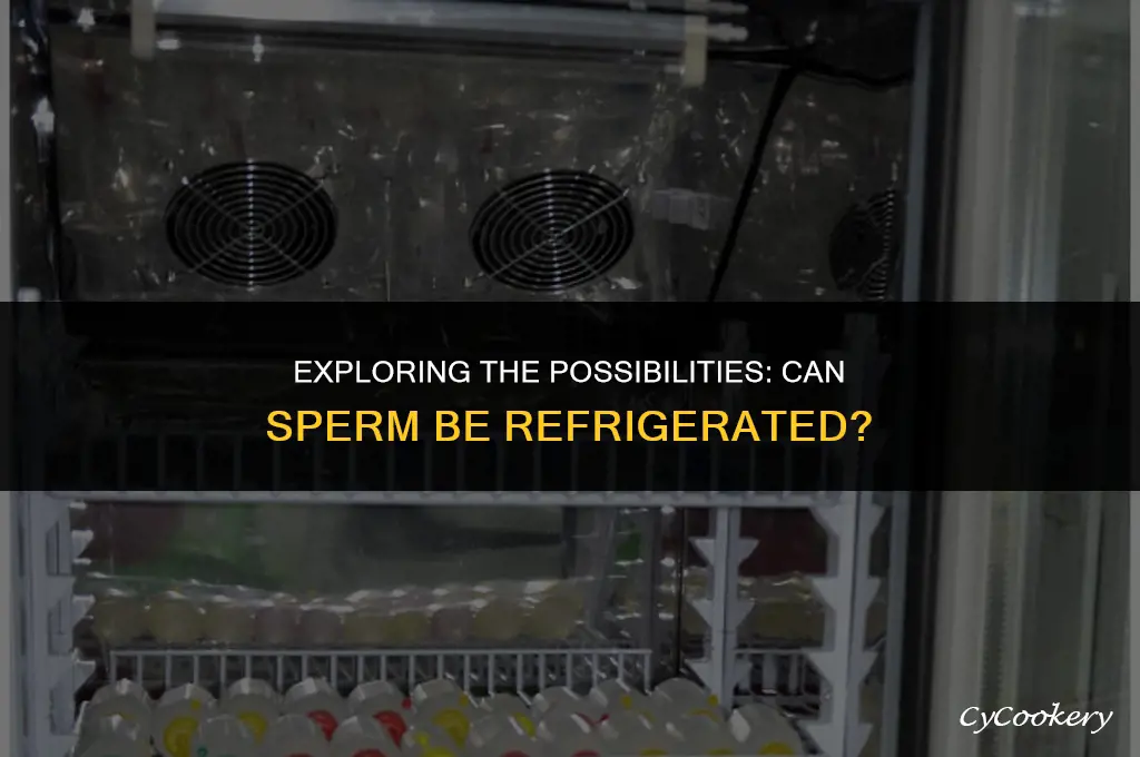 is it possible for sperm to be refrigerated