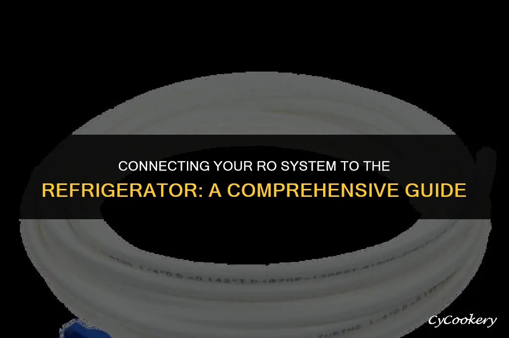 is it possible to connect ro system to refrigerator