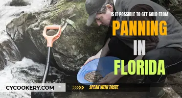 Panning for Gold in Florida: Is It Possible?