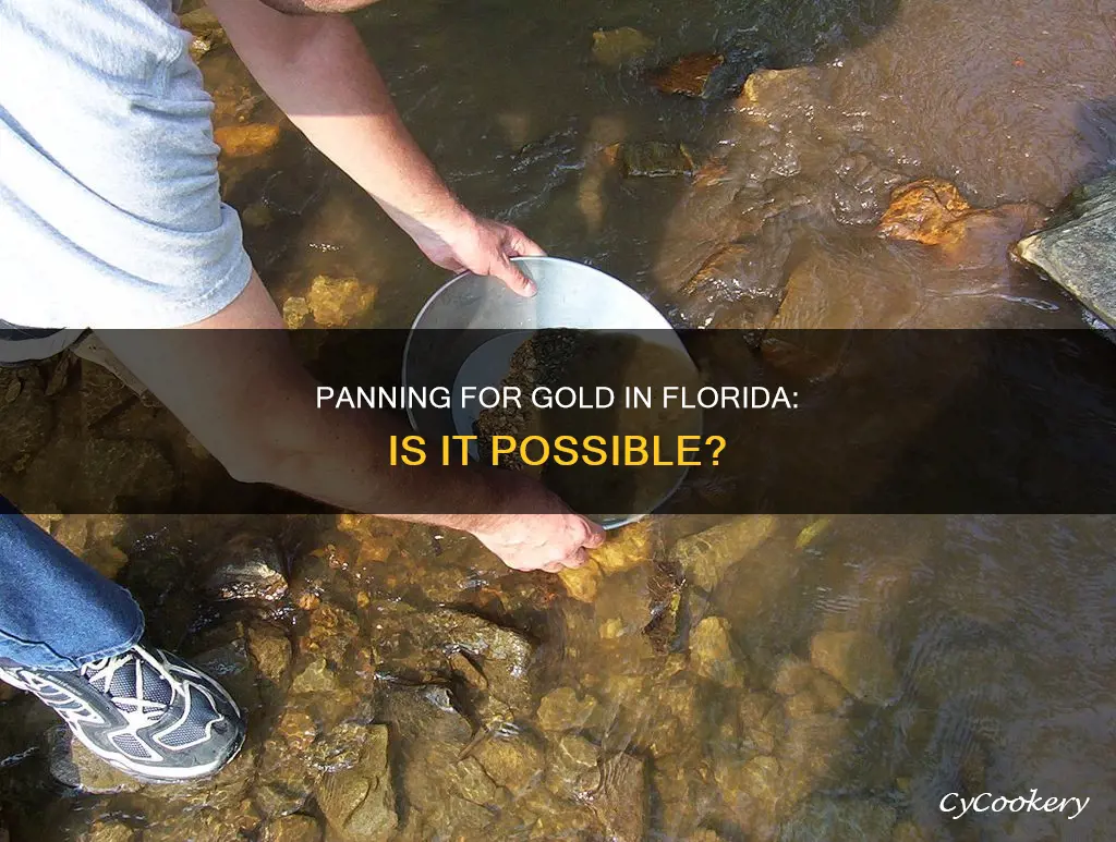 is it possible to get gold from panning in Florida