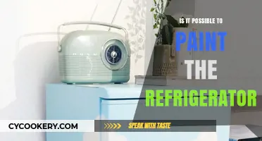 Can You Paint a Refrigerator? A DIY Appliance Makeover Guide