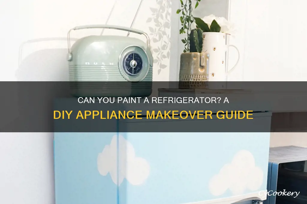 is it possible to paint the refrigerator