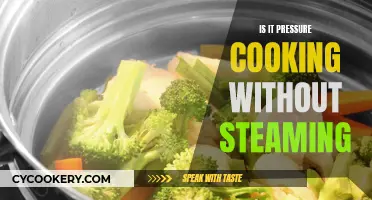 Steam-Free Pressure Cooking: Is It Possible?