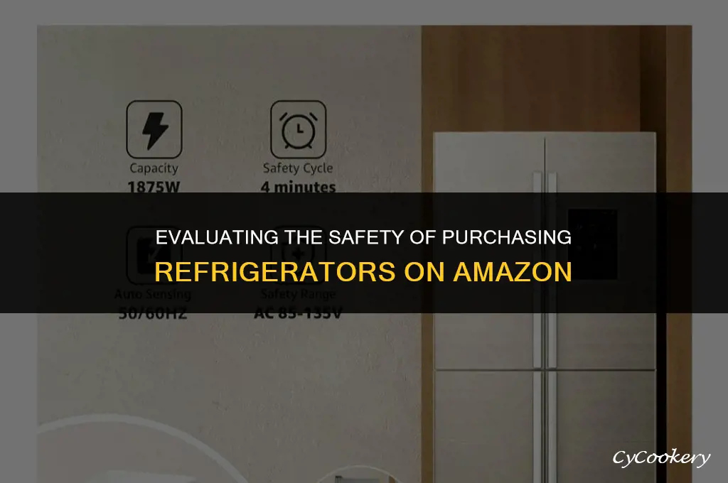 is it safe to buy refrigerator from amazon