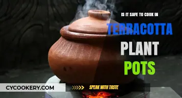 Cooking in Terracotta Plant Pots: Safe or Risky Kitchen Hack?