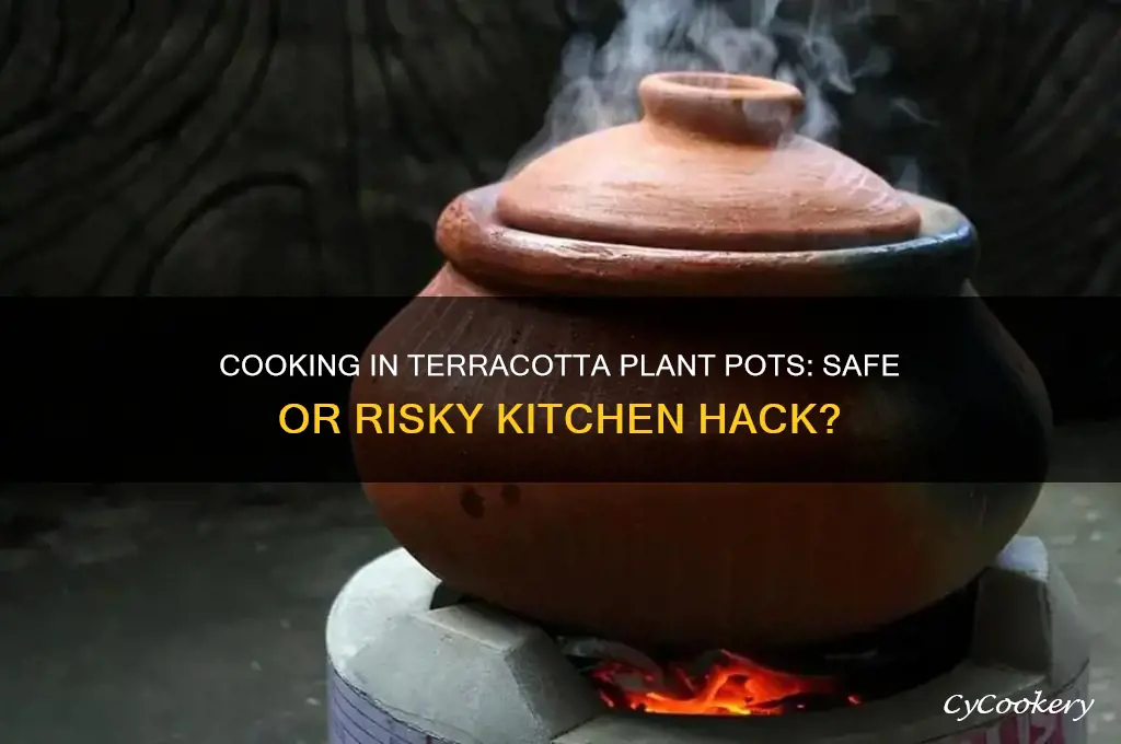 is it safe to cook in terracotta plant pots