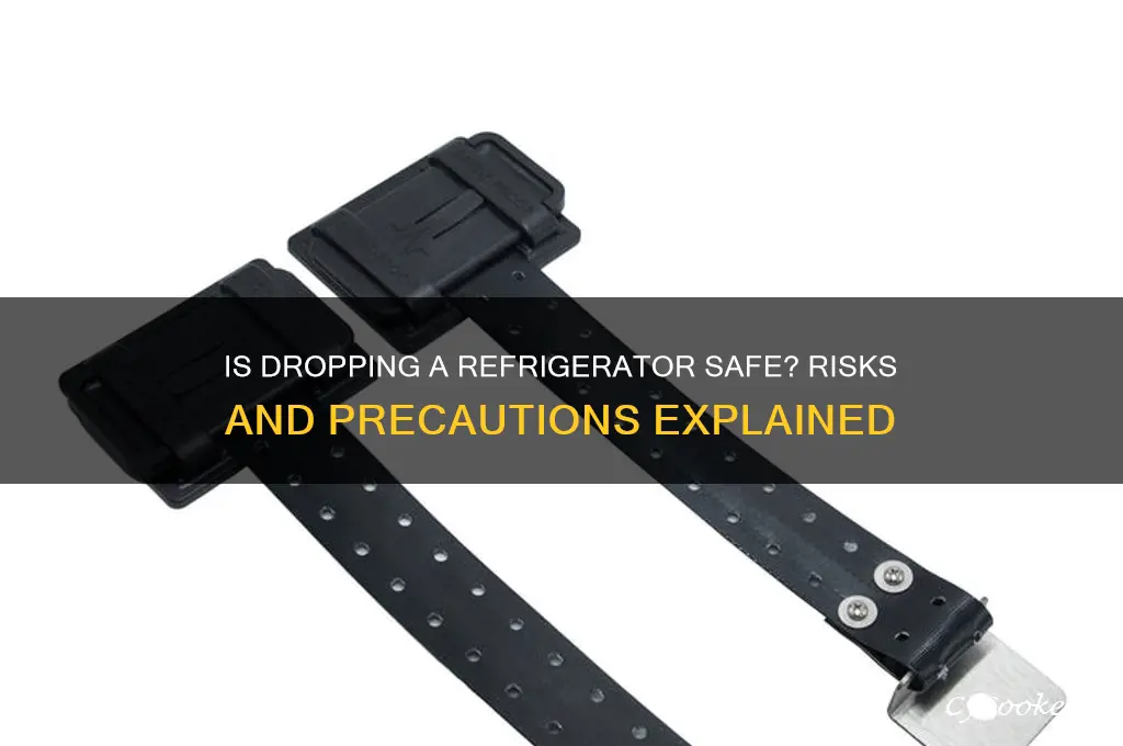 is it safe to drop a refrigerator