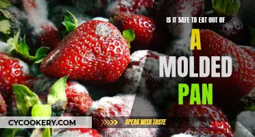 Molded Pan: Safe to Eat From?