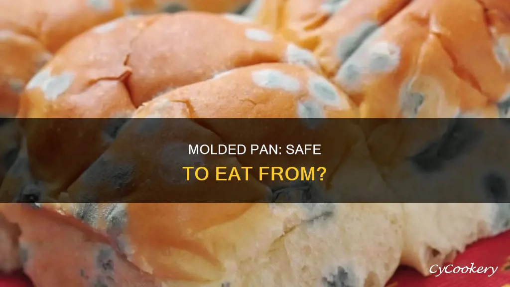 is it safe to eat out of a molded pan