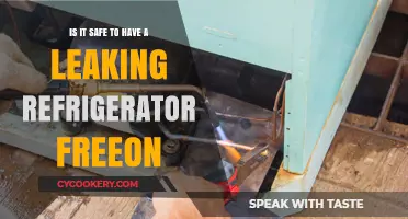 The Hidden Dangers of a Leaking Refrigerator: Freeon Safety Explained