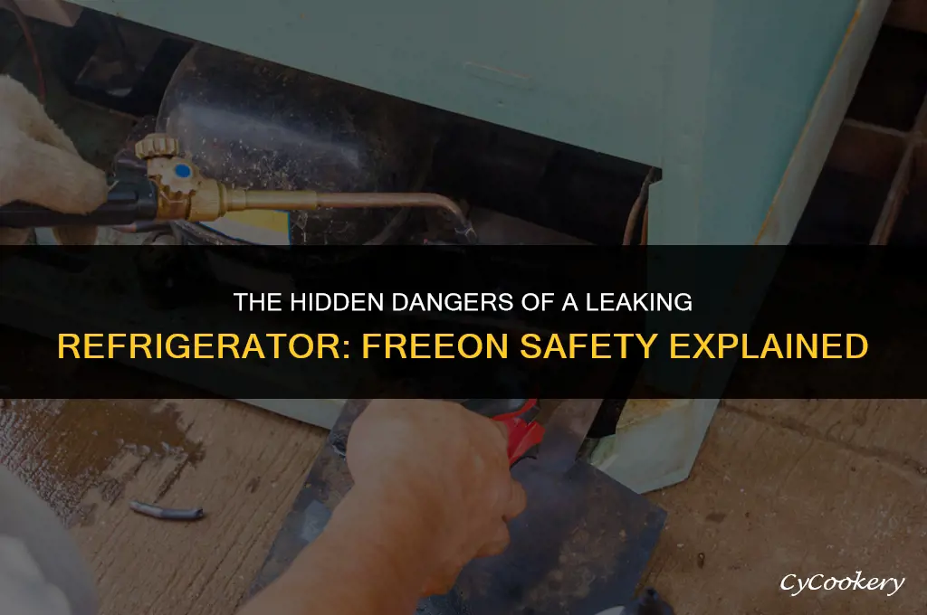 is it safe to have a leaking refrigerator freeon