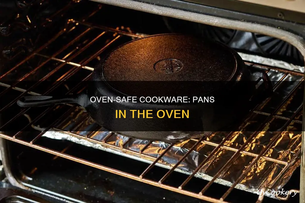 is it safe to put a pan in the oven