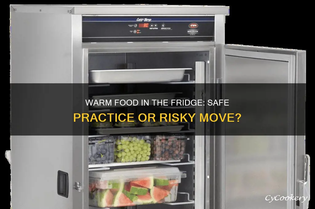 is it safe to put warm food in refrigerator