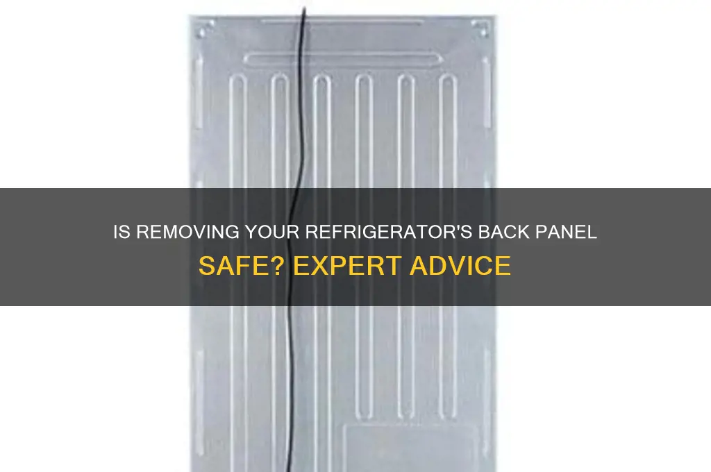is it safe to remove refrigerator back