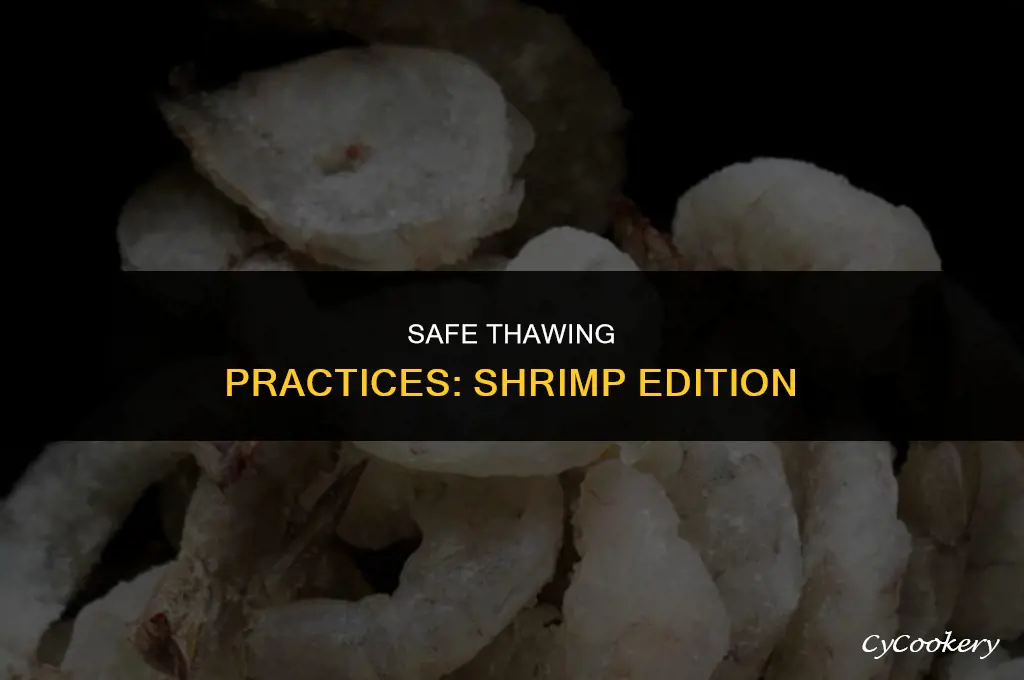 is it safe to thaw shrimp in the refrigerator