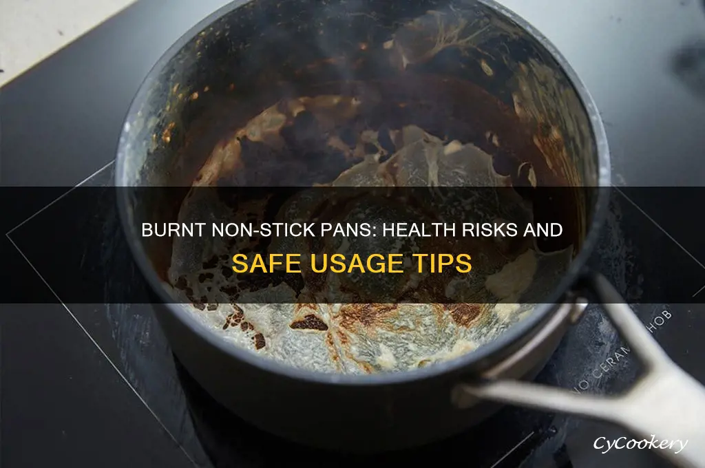 is it safe to use a burnt non stick pan