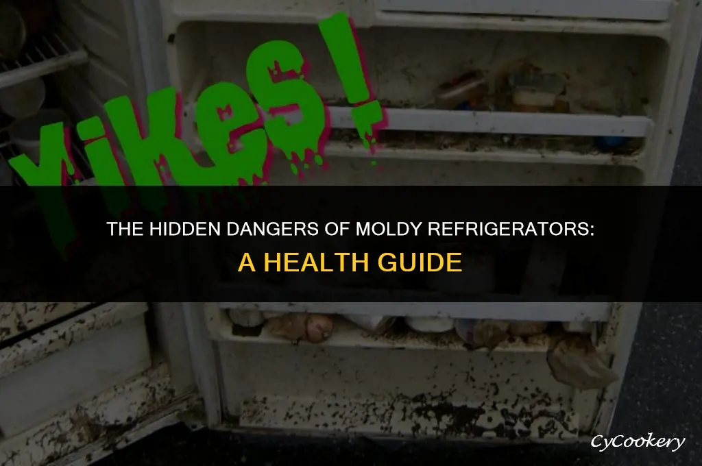 is it safe to use a refrigerator with mold