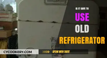 Is Your Old Refrigerator Safe? Risks and Maintenance Tips