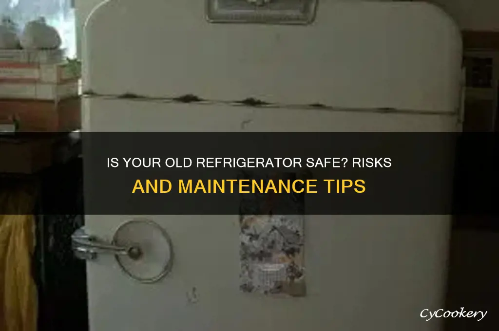 is it safe to use old refrigerator