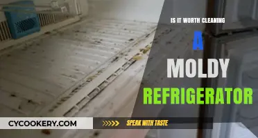 Should You Clean a Moldy Fridge? Pros, Cons, and Safety Tips