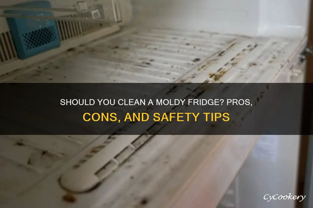 is it worth cleaning a moldy refrigerator