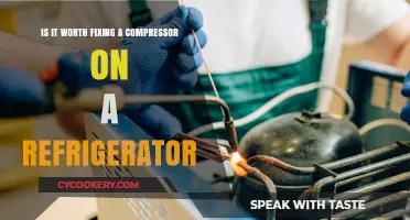 Evaluating the Cost-Effectiveness of Refrigerator Compressor Repairs