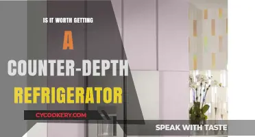 Counter-Depth Refrigerators: Are They a Worthwhile Kitchen Upgrade?