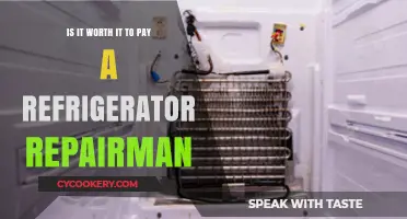 Is Hiring a Refrigerator Repairman Worth the Cost?
