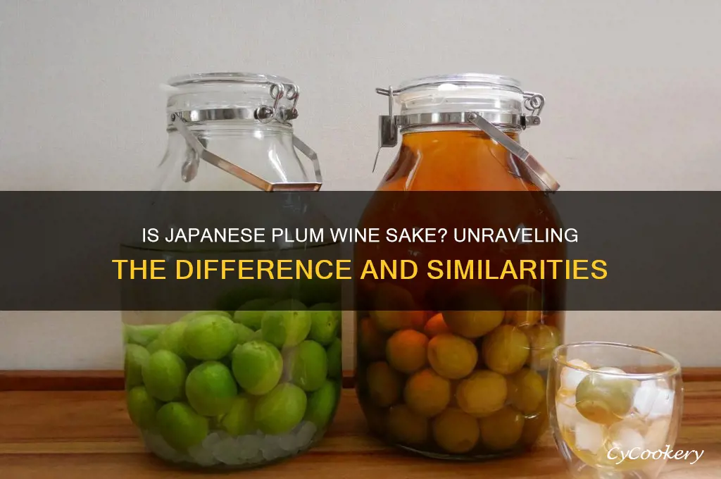 is japanese plum wine sake