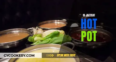 The Sizzle of Jazzcat Hot Pot: A Culinary Adventure