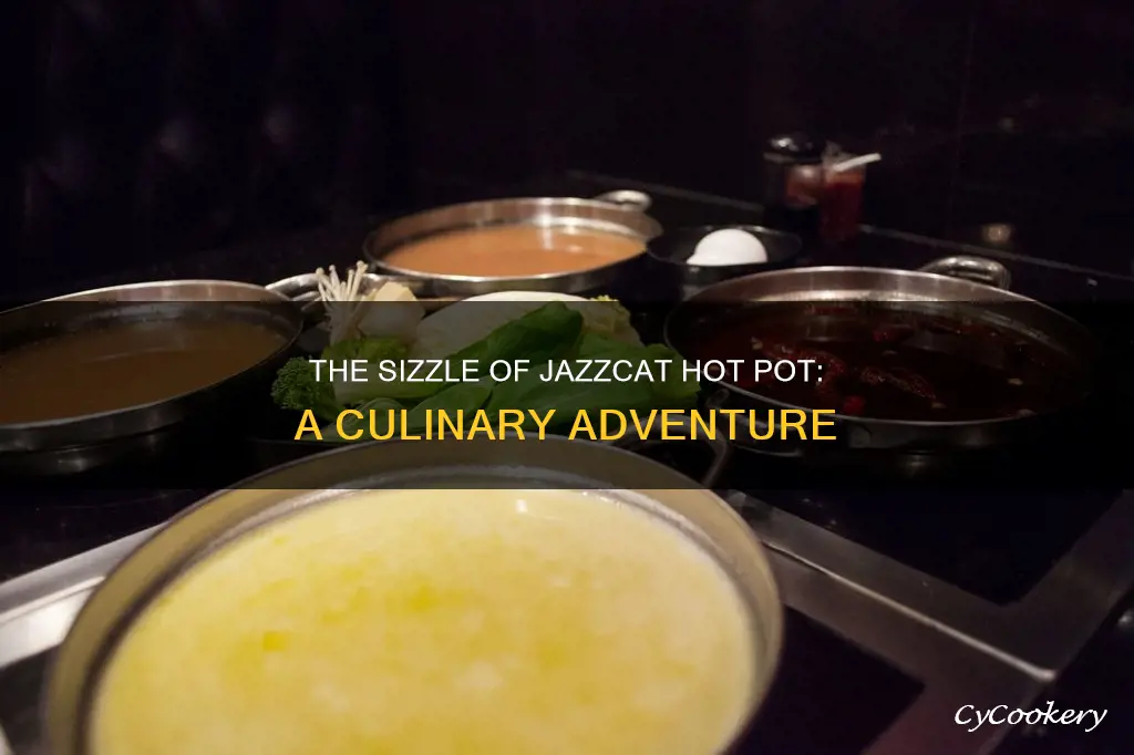 is jazzcat hot pot