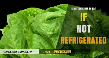 Fresh or Risky: Lettuce's Safety Without Refrigeration Explored