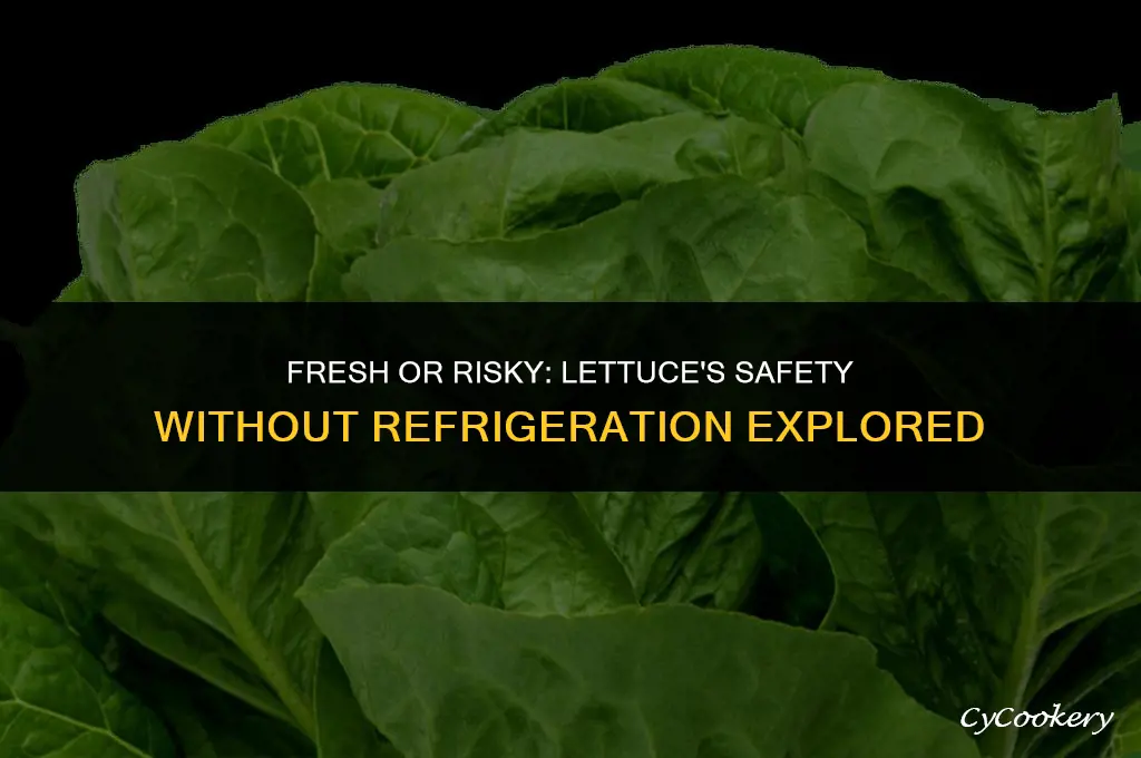 is lettuce safe to eat if not refrigerated