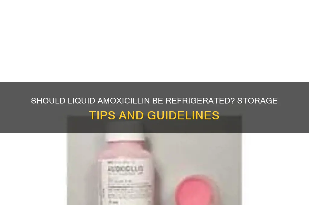 is liquid amoxicillin supposed to be refrigerated