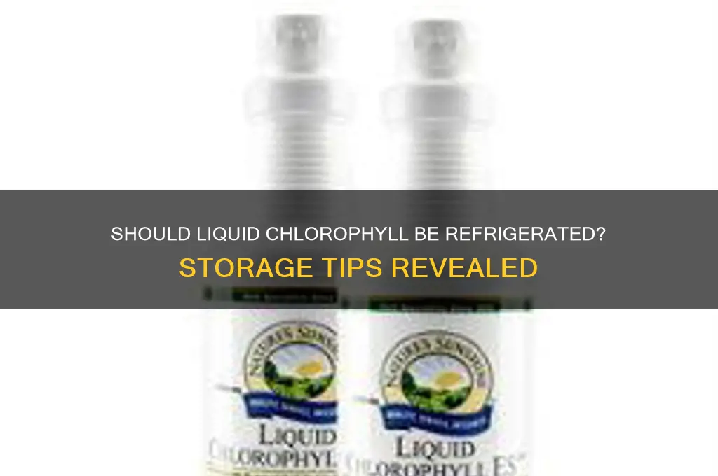 is liquid chlorophyll supposed to be refrigerated