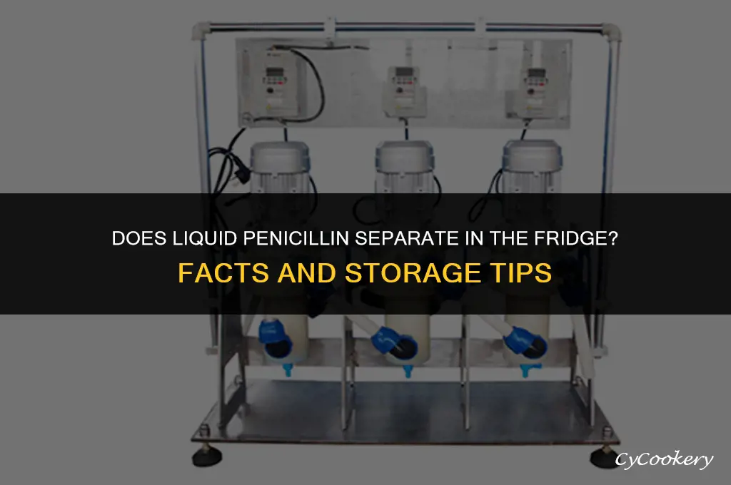 is liquid pencillin supposed to seperate in the refrigerator