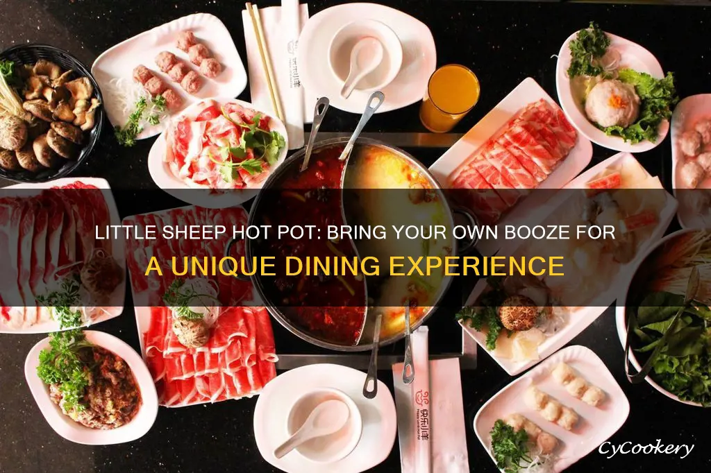 is little sheep hot pot bring your own booze