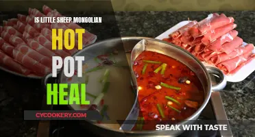 Little Sheep Mongolian Hot Pot: Healthy, Hearty Comfort Food