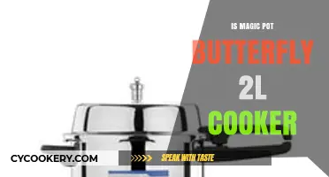 Magic Pot Butterfly 2L Cooker: A Compact Kitchen Essential Review