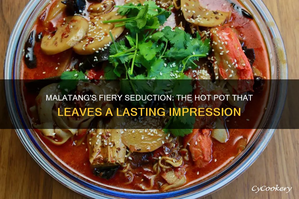 is malatang hot pot