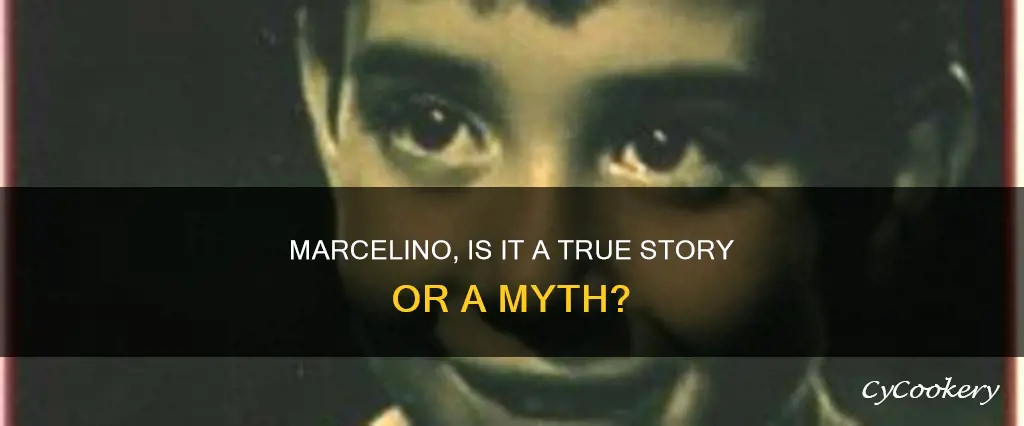 is marcelino pan y vino a true story