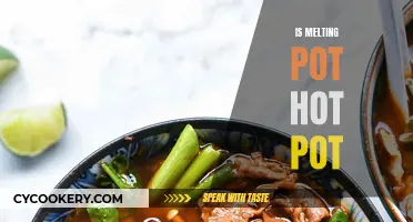 Melting Pot or Hot Pot: What's the Difference?