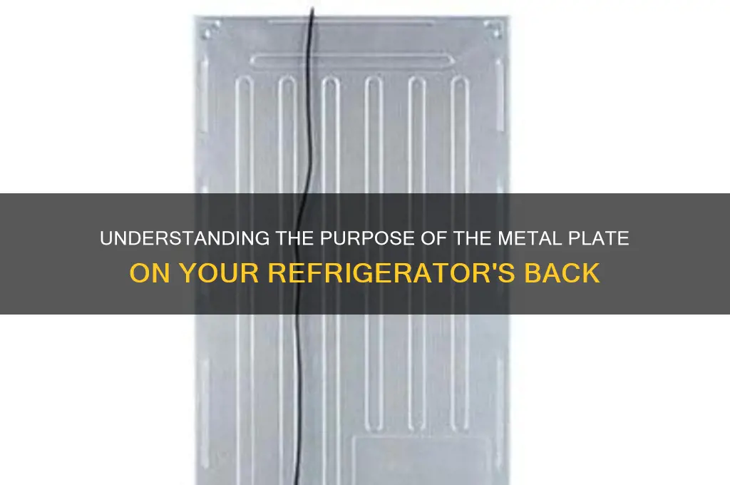 is metal plate on back of refrigerator