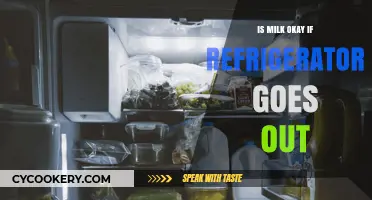 Refrigerator Out? How Long Is Milk Safe to Drink?