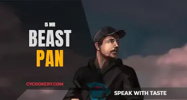 Mr Beast's Pan-Related Content: Is He One?