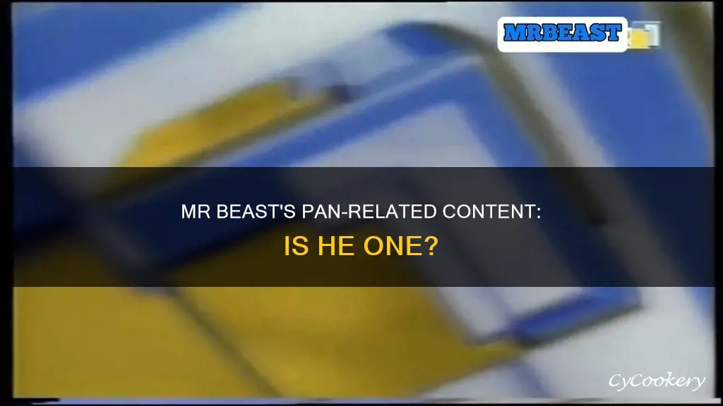 is mr beast pan