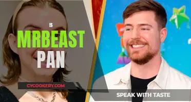 MrBeast's Sexuality: Exploring His Pansexuality and Its Impact